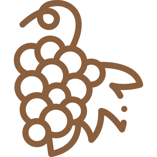 vinha-e-vinhos-da-regiao-de-alcobaca